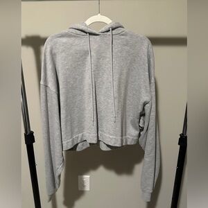ALO Yoga Gray Cropped Hoodie